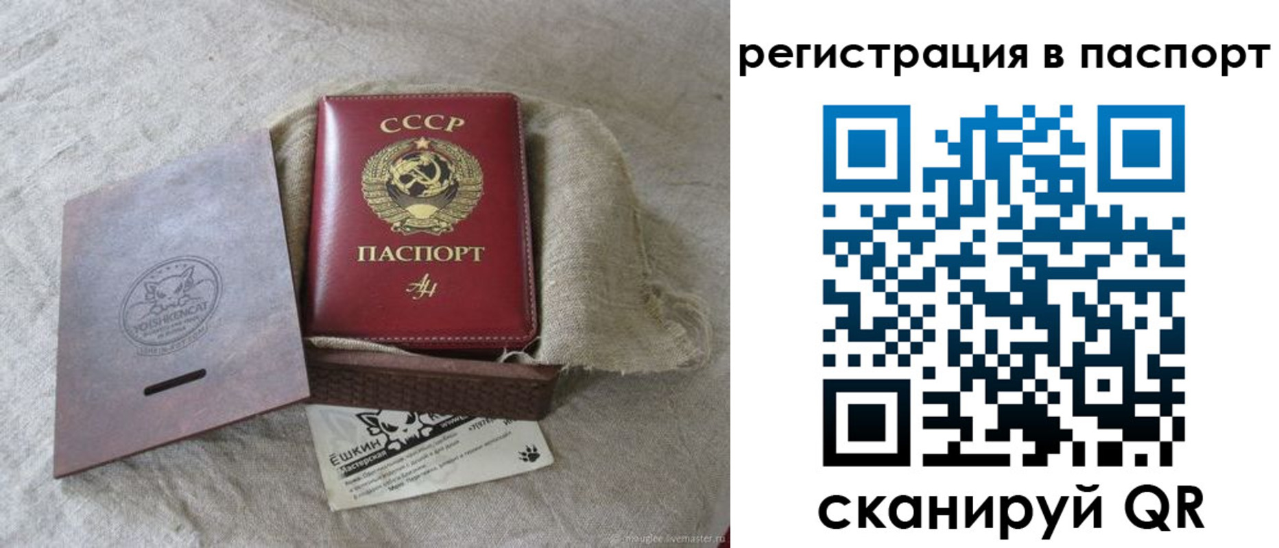 где прописаться в Богучаре